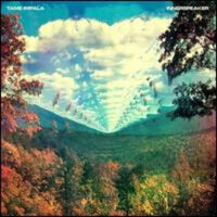 Tame Impala Innerspeaker 2 LP Set