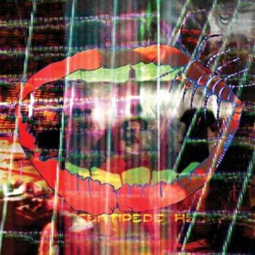 Animal Collective Centipede HZ Gatefold Sleeve Includes MP3s 2 LP Set