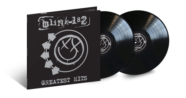 Blink 182 Greatest Hits 2 LP Set